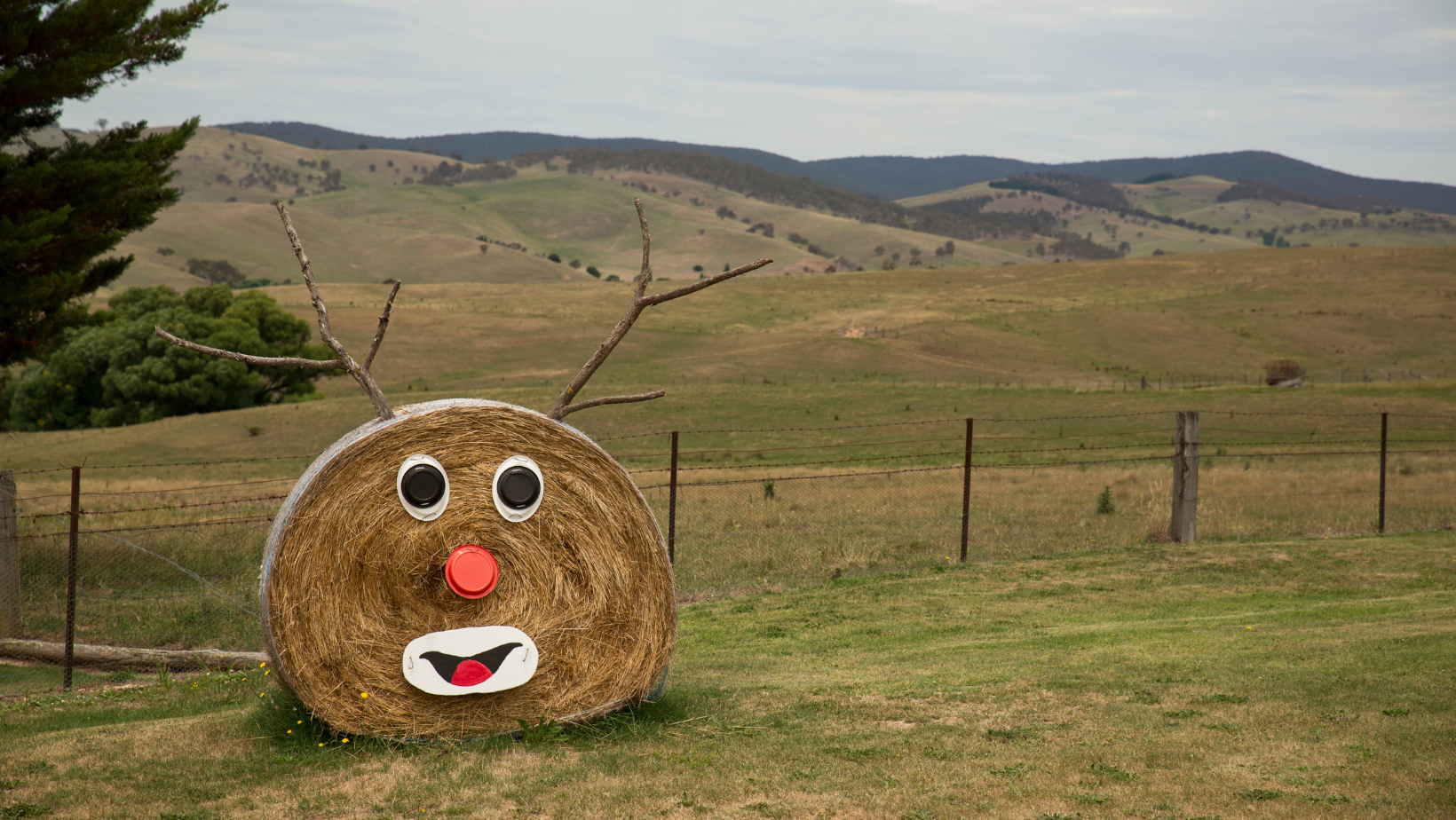 Merry Christmas from all the Team at RVGO. We will be closed from 24/12/2025 and re-open on 05/01/2026. Safe travels and happy adventuring!